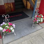 フラワーバスケット ニチニチソウ アンブロシア店頭