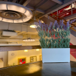 アンブロシア　横浜元町　大人の美容室